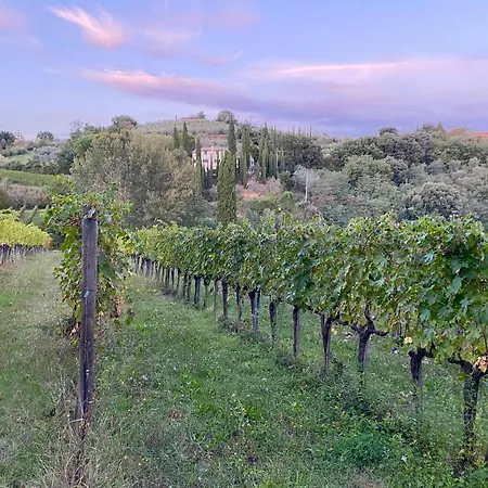 Sogni Doro Etruscan * Montepulciano Stazione